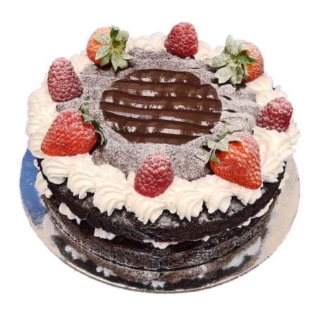 Vegan Chocolate Raspberry Cake